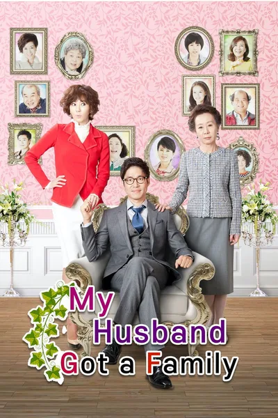 My Husband Got a Family poster