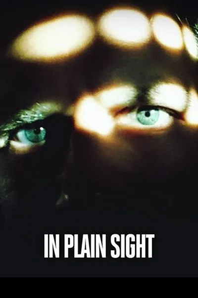 In Plain Sight poster