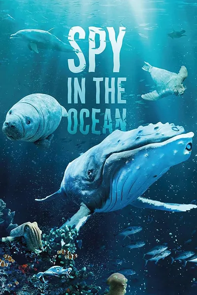 Spy in the Ocean poster
