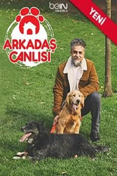 Arkadas Canlisi poster