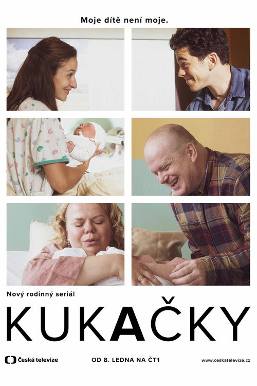The Swap poster