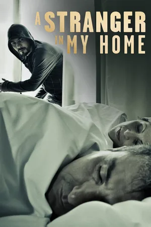 A Stranger in My Home poster