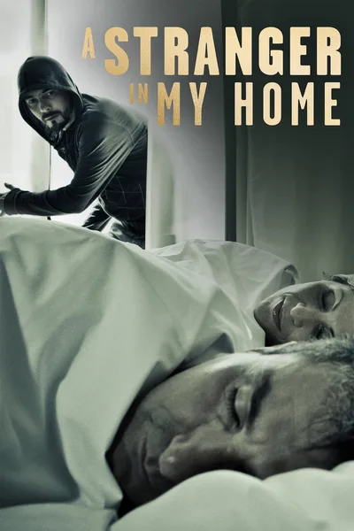 A Stranger in My Home poster
