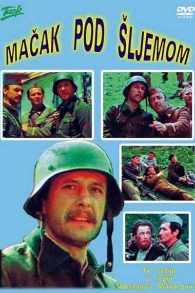 Macak pod sljemom poster