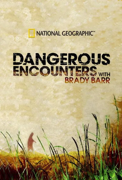 Dangerous Encounters poster