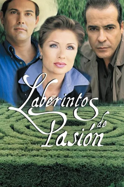 Labyrinths of Passion poster