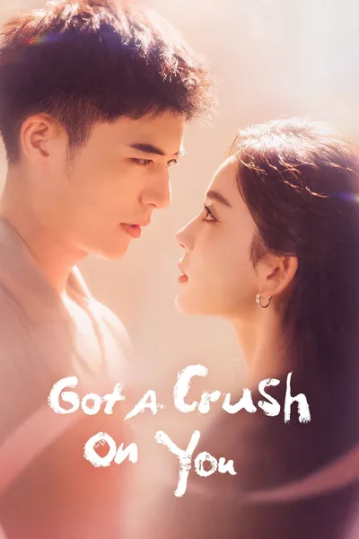 Got a Crush on You poster