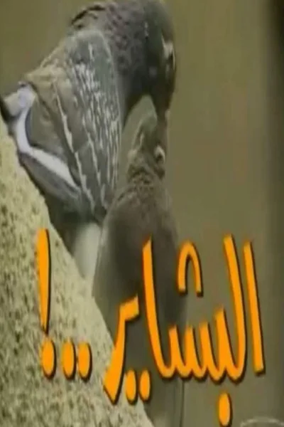 El Bashayer poster