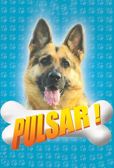 Pulsar poster