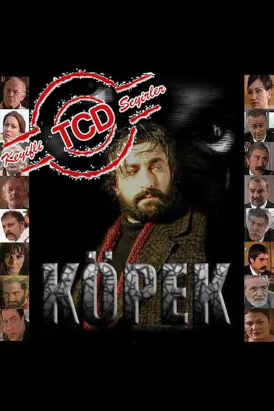 Köpek poster