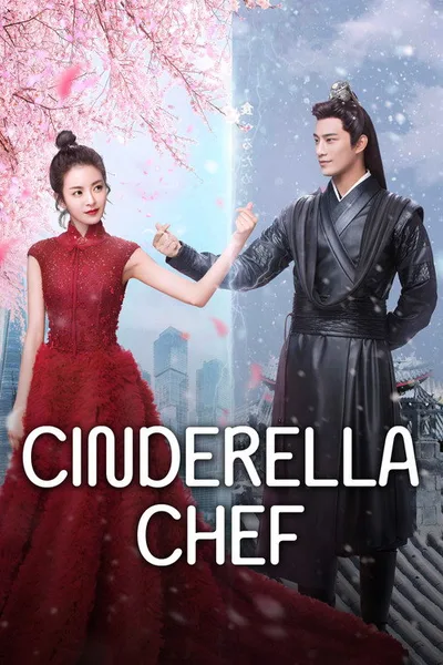 Cinderella Chef poster
