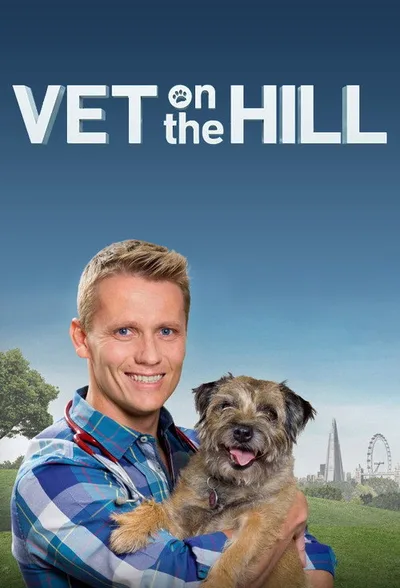 Vet on the Hill poster