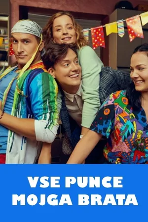 Vse punce mojga brata poster