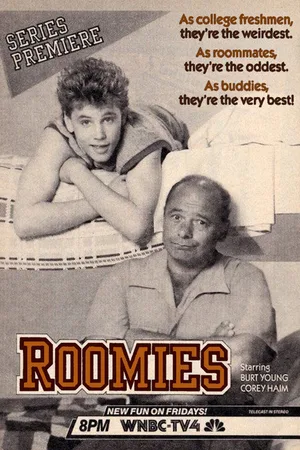 Roomies poster