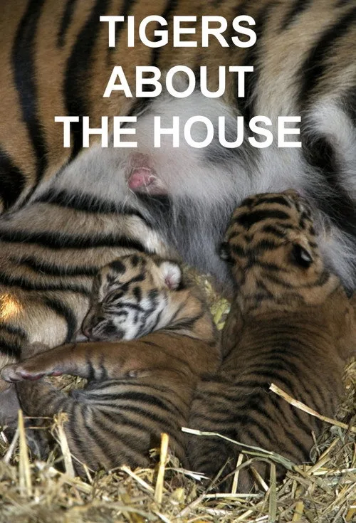 Tigers About the House poster
