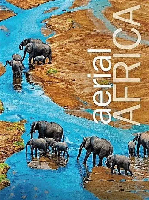 Aerial Africa poster