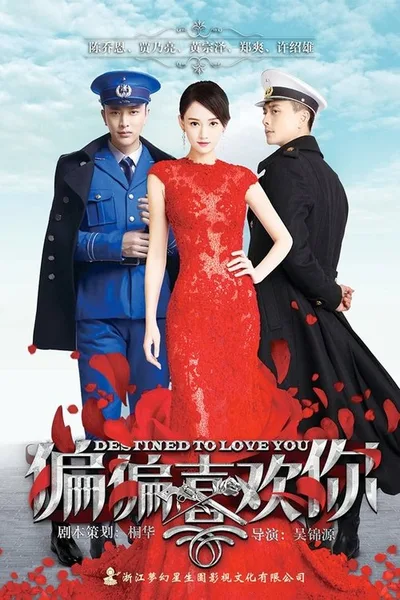 Destined to Love You poster
