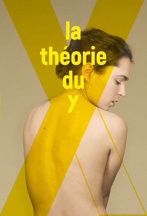 The Y Theory poster