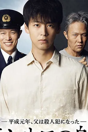 Ship of Theseus poster