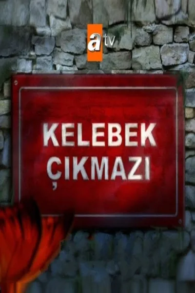 Kelebek Çikmazi poster