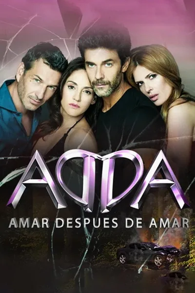 Love After Loving poster