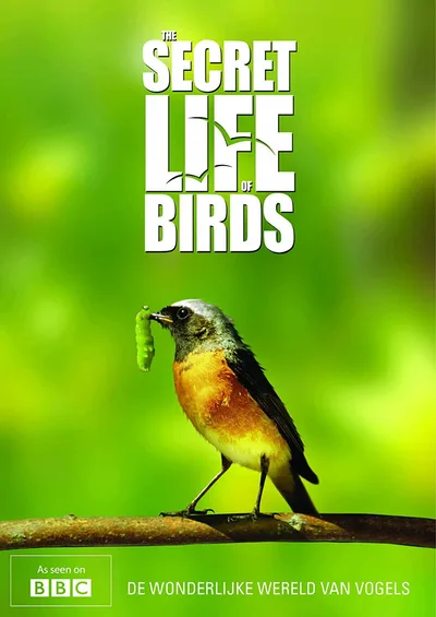 The Secret Life of Birds poster