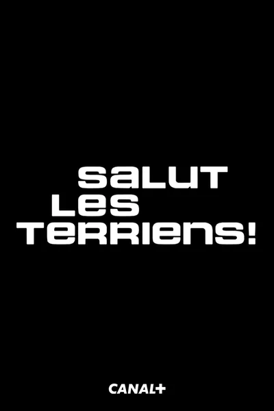 Salut les Terriens poster