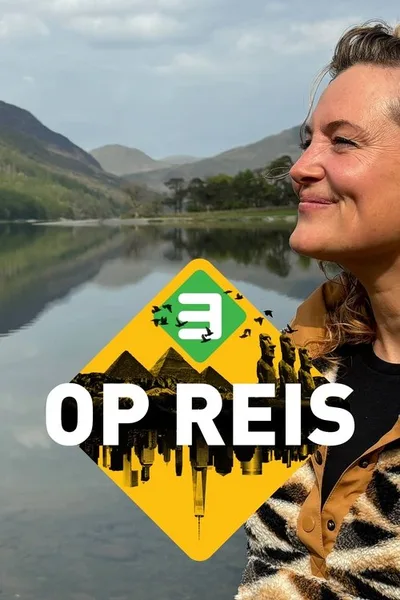 3 op Reis poster