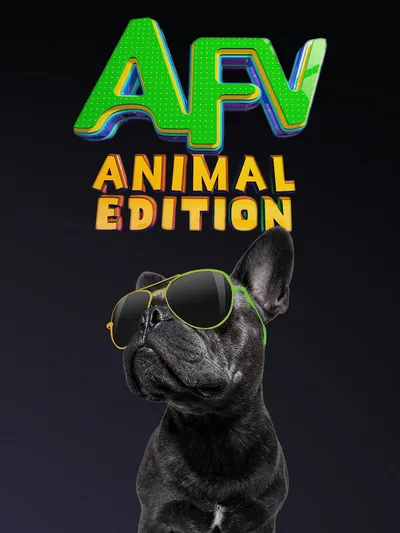 America's Funniest Videos: Animal Edition poster