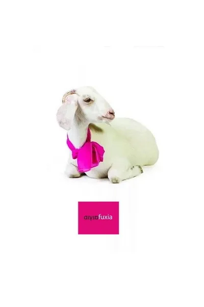 Aigia fuxia poster