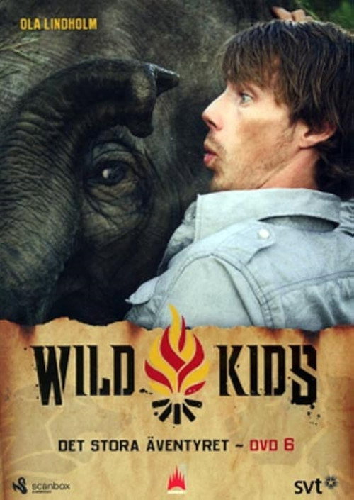Wild Kids poster
