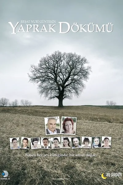 Leaf Cast poster