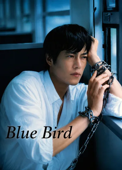 Blue Bird poster