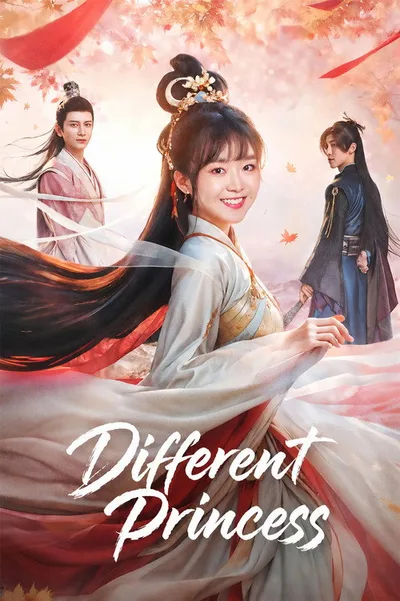 Different Princess poster