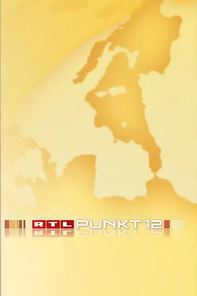 Punkt 12 poster
