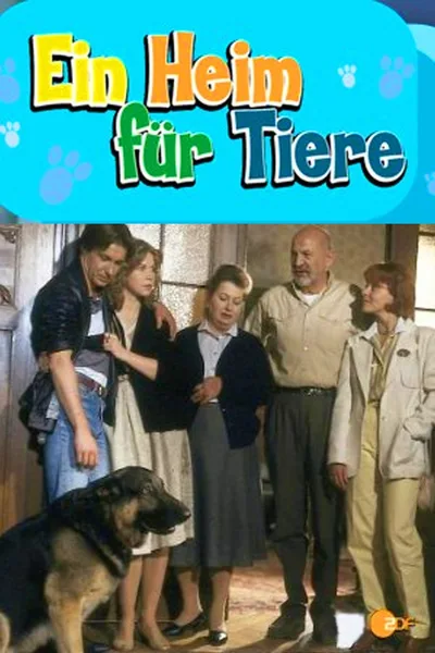 The Adventures of Dr. Bayer poster