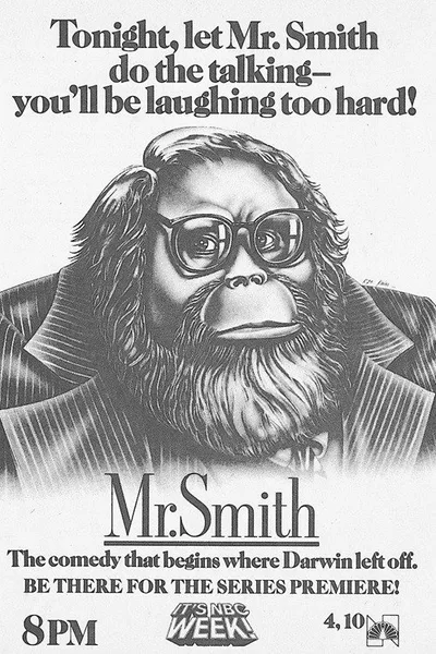 Mr. Smith poster
