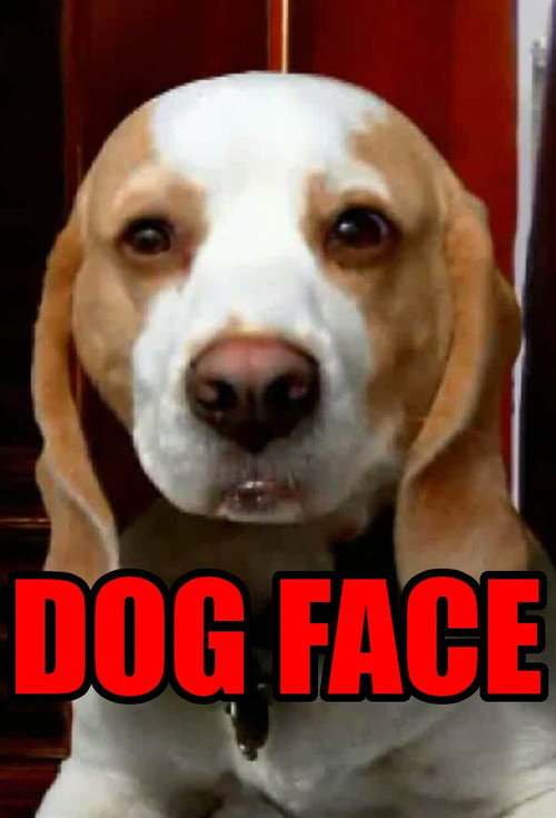Dogface poster