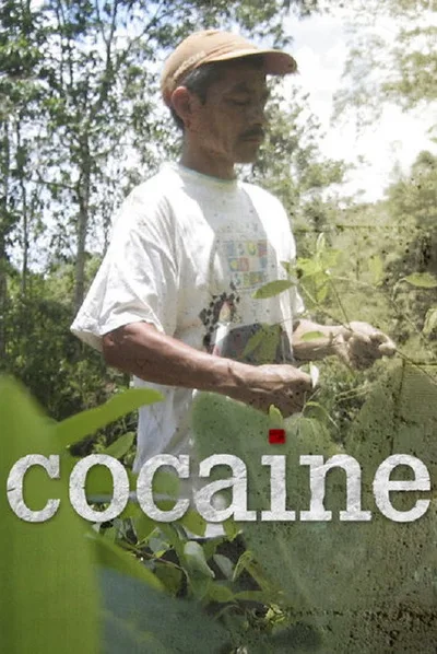 Cocaine poster