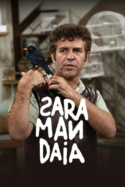 Saramandaia poster