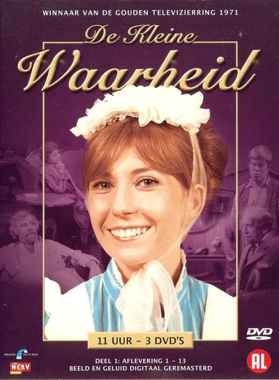 De kleine waarheid poster
