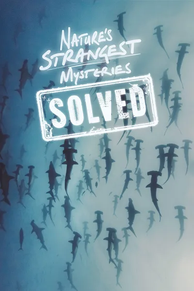 Nature's Strangest Mysteries: Solved poster