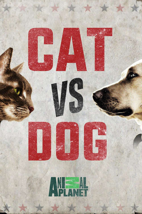 Cat Vs. Dog poster
