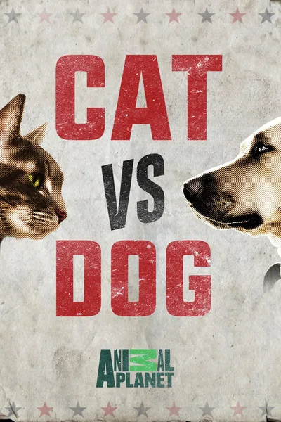 Cat Vs. Dog poster