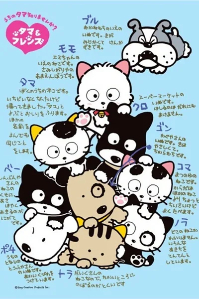 Tama of Third Street: Have You Seen My Tama? poster