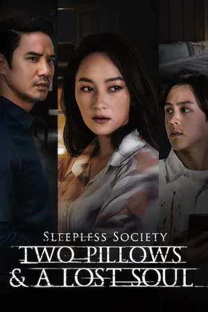Sleepless Society: Two Pillows & a Lost Soul poster