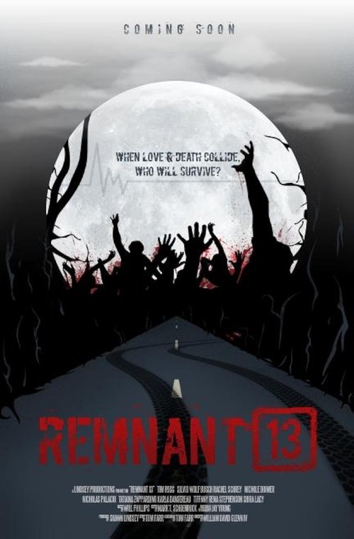 Remnant 13 poster
