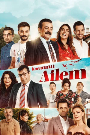 My Huge Family poster