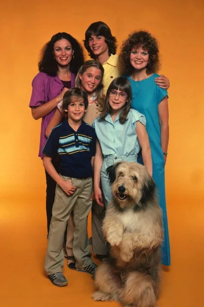 A New Kind of Family poster