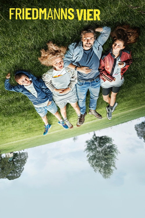 The Friedmanns poster